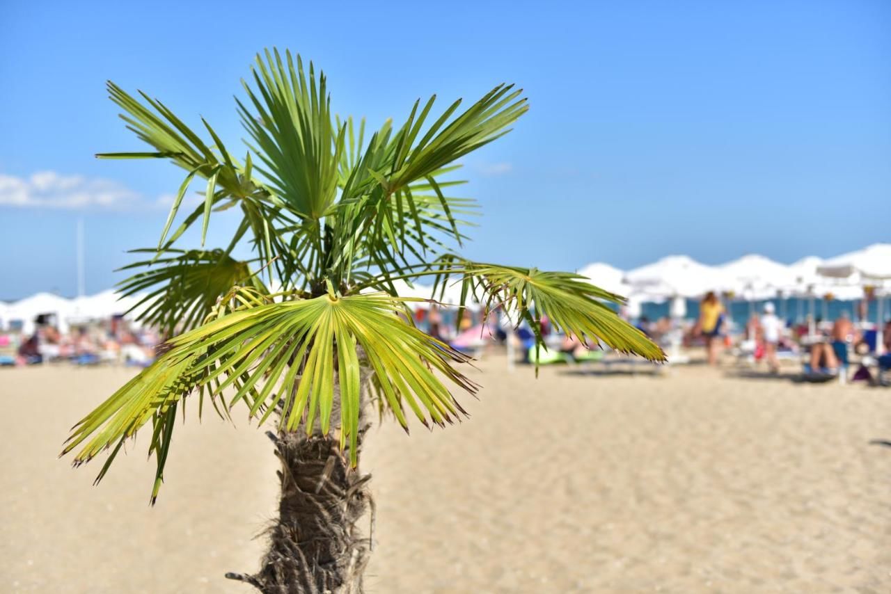Отель Berlin Golden Beach Hotel - All Inclusive Золотые Пески-24